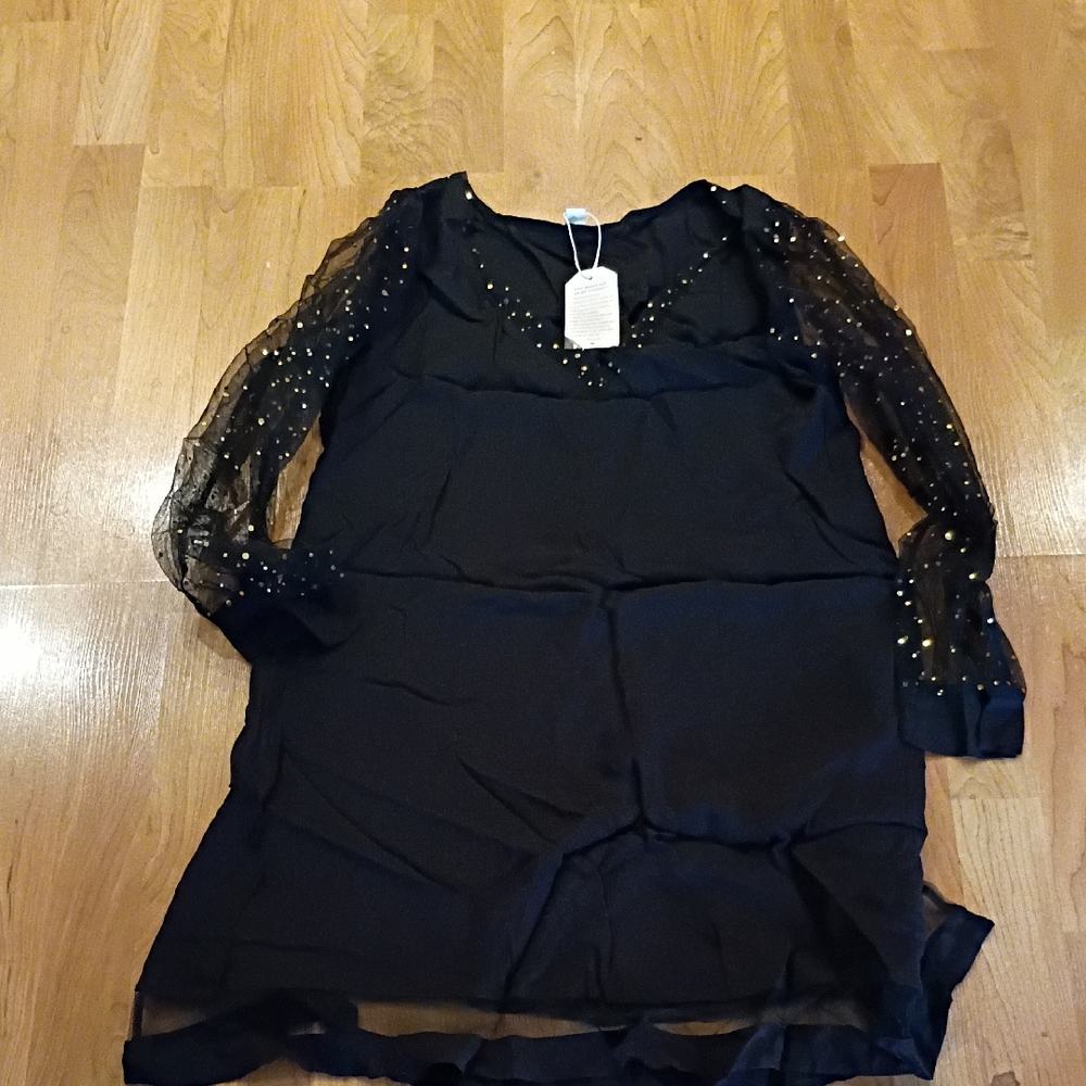 Black Sheer V-Neck Mini Dress with Gold Sequin Accents